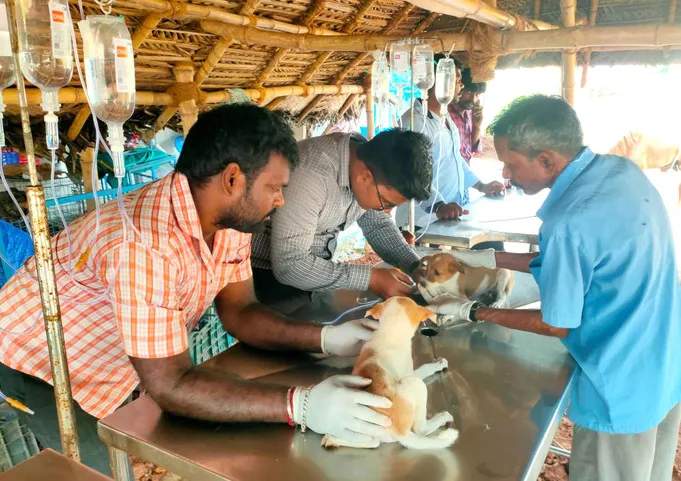 நாய்களுக்கான சிகிச்சை மையத்தை காலி செய்ய நகராட்சி உத்தரவு